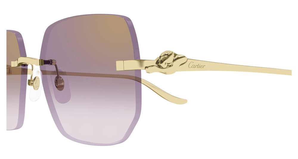 Cartier CT0549S 004 57