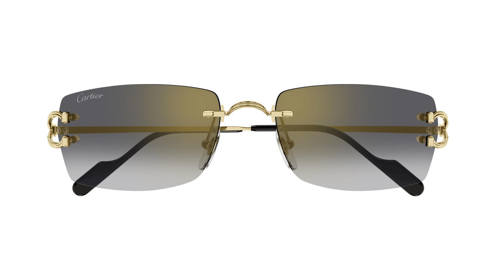 Cartier CT0550S 001 56