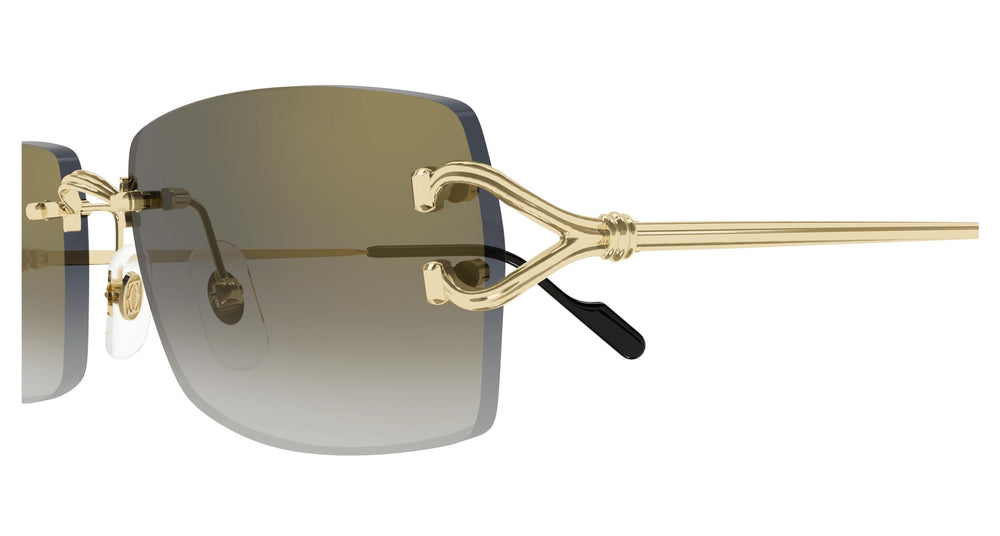Cartier CT0550S 001 56