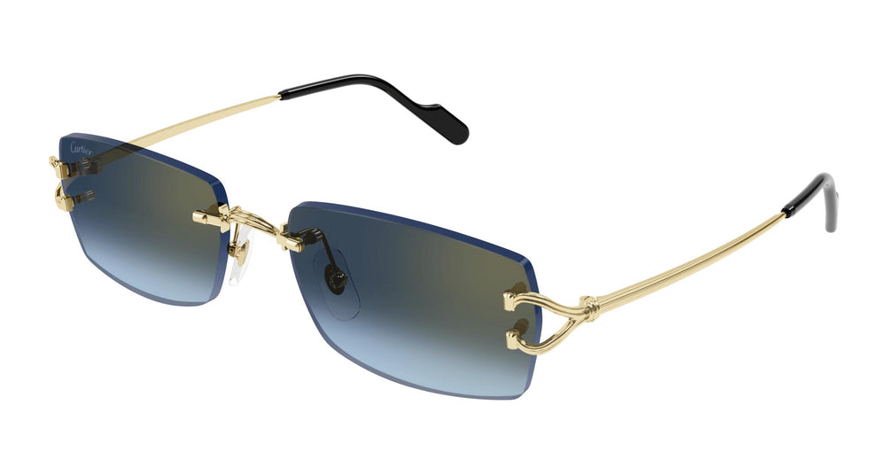 Cartier CT0550S 002 56