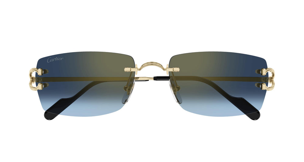 Cartier CT0550S 002 56