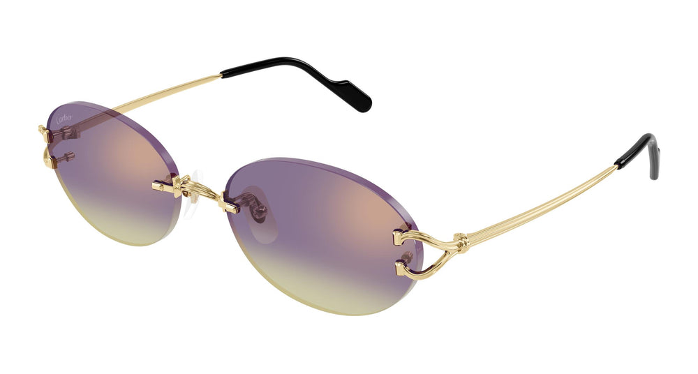 Cartier CT0551S 006 55