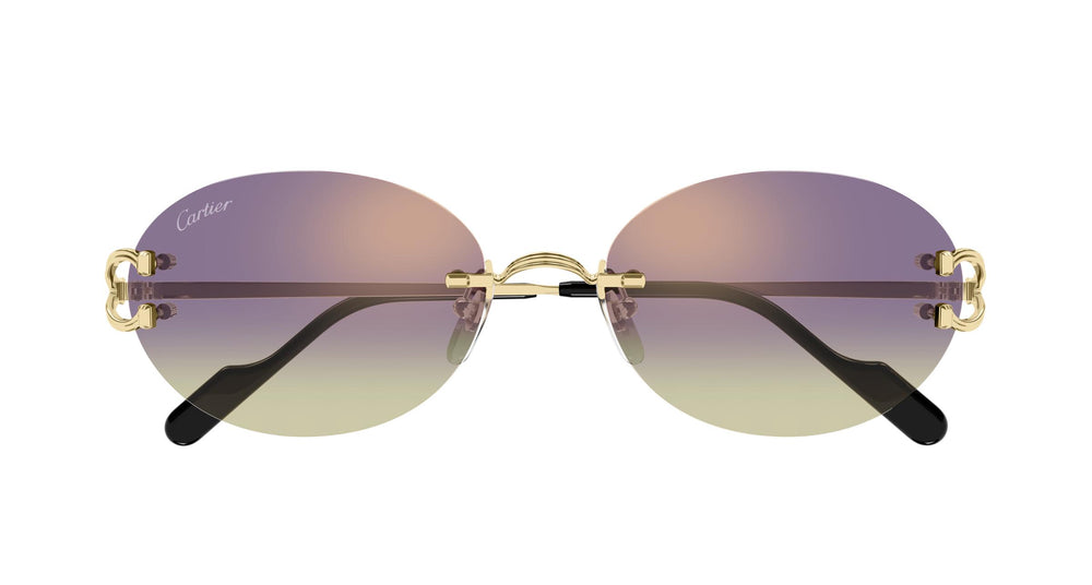 Cartier CT0551S 006 55