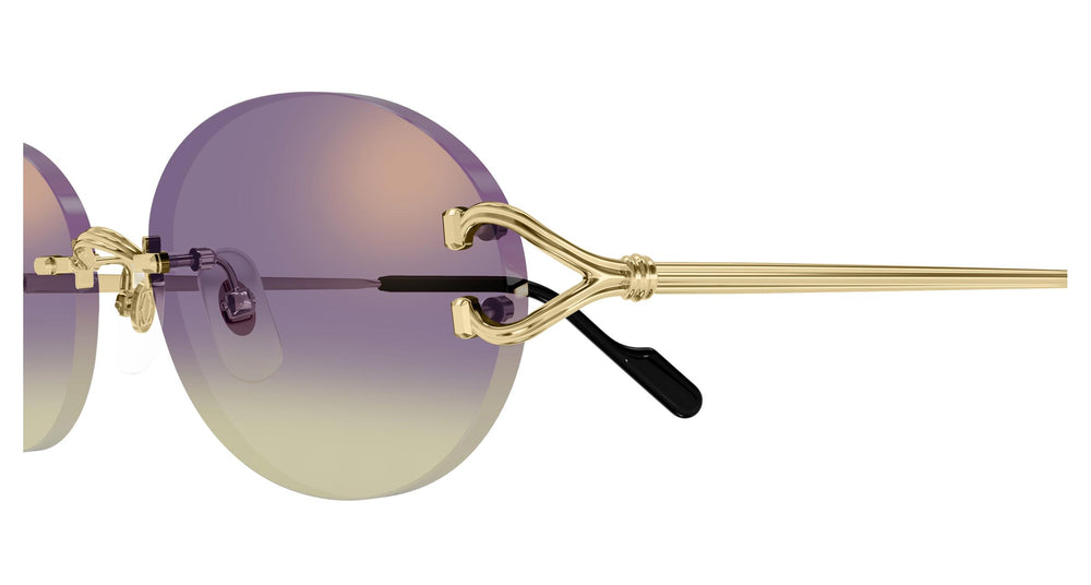 Cartier CT0551S 006 55