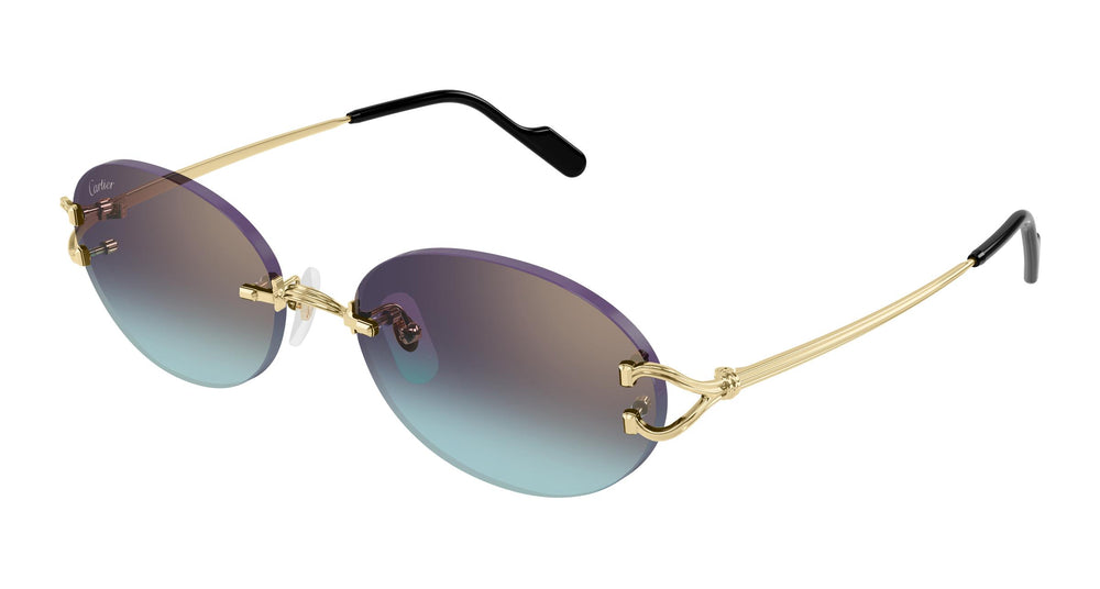 Cartier CT0551S 008 55