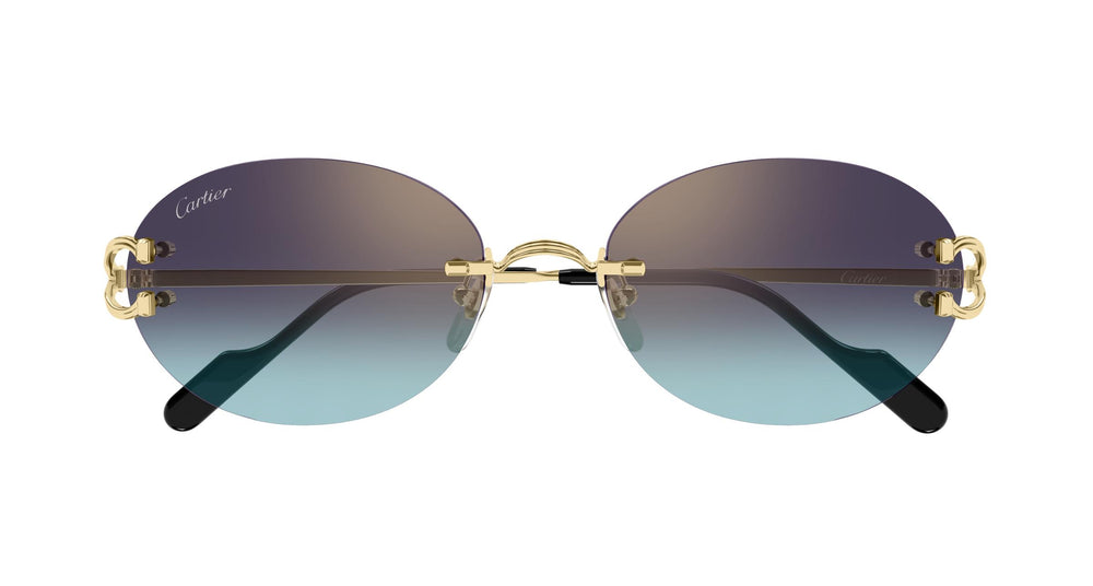 Cartier CT0551S 008 55