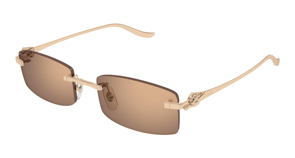 Cartier CT0552S 004 55