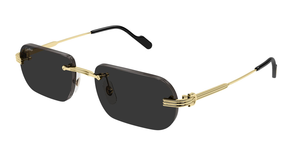 Cartier CT0577S 001 55
