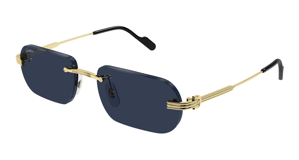 Cartier CT0577S 003 55