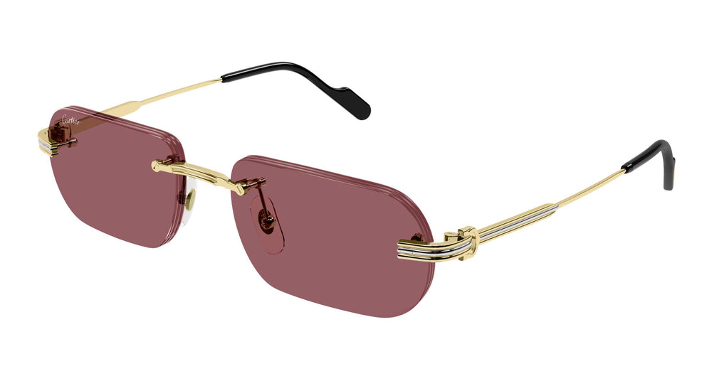 Cartier CT0577S 004 55