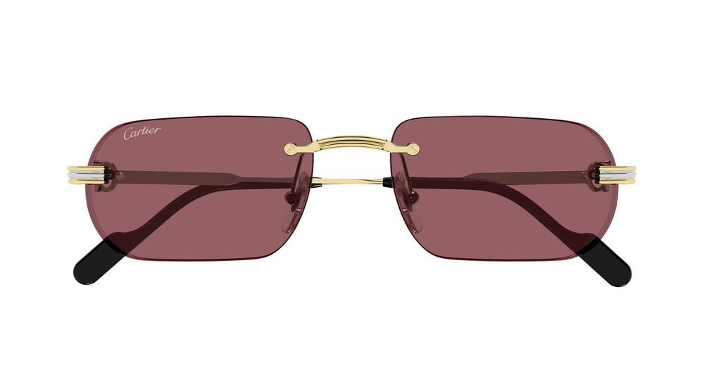 Cartier CT0577S 004 55
