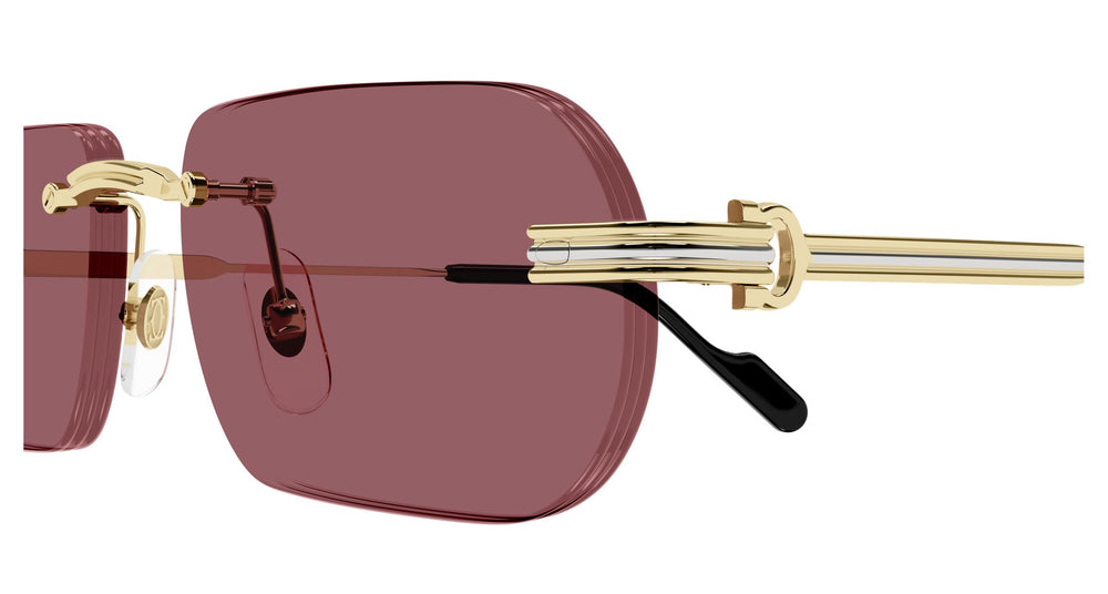 Cartier CT0577S 004 55