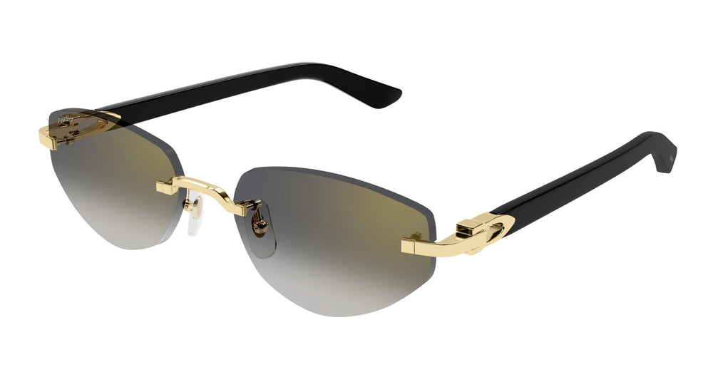 Cartier CT0580S 001 56