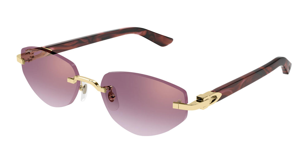 Cartier CT0580S 002 56