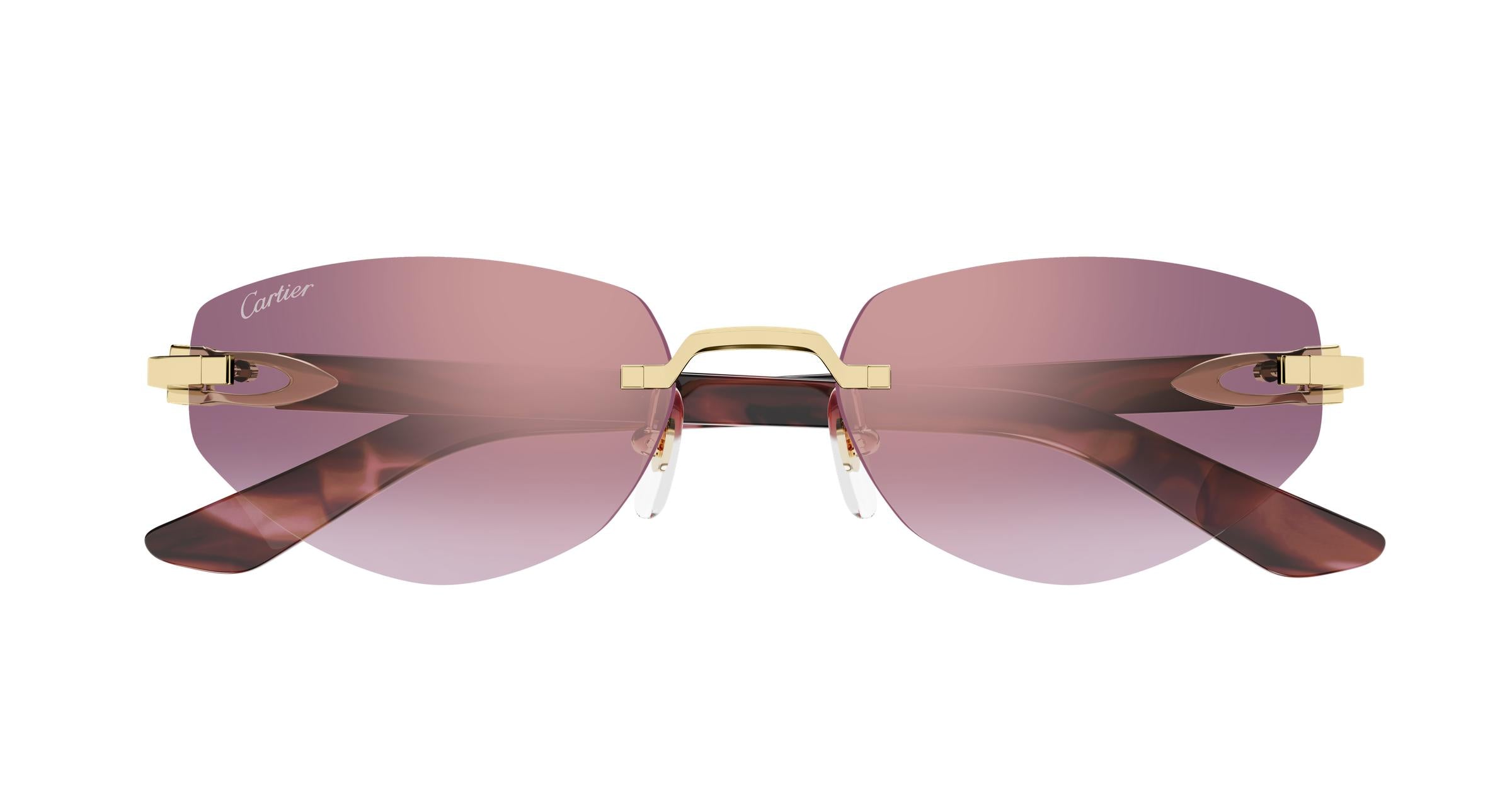 Cartier CT0580S 002 56 | Bassol Optic United States