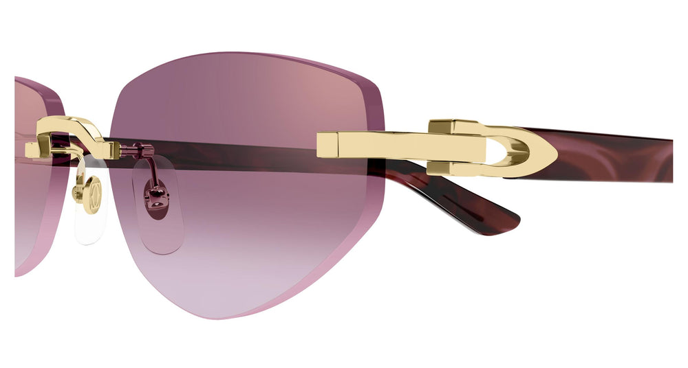 Cartier CT0580S 002 56