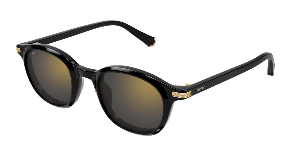 Cartier CT0584S 001 49
