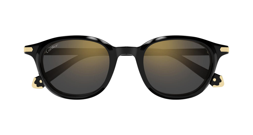 Cartier CT0584S 001 49