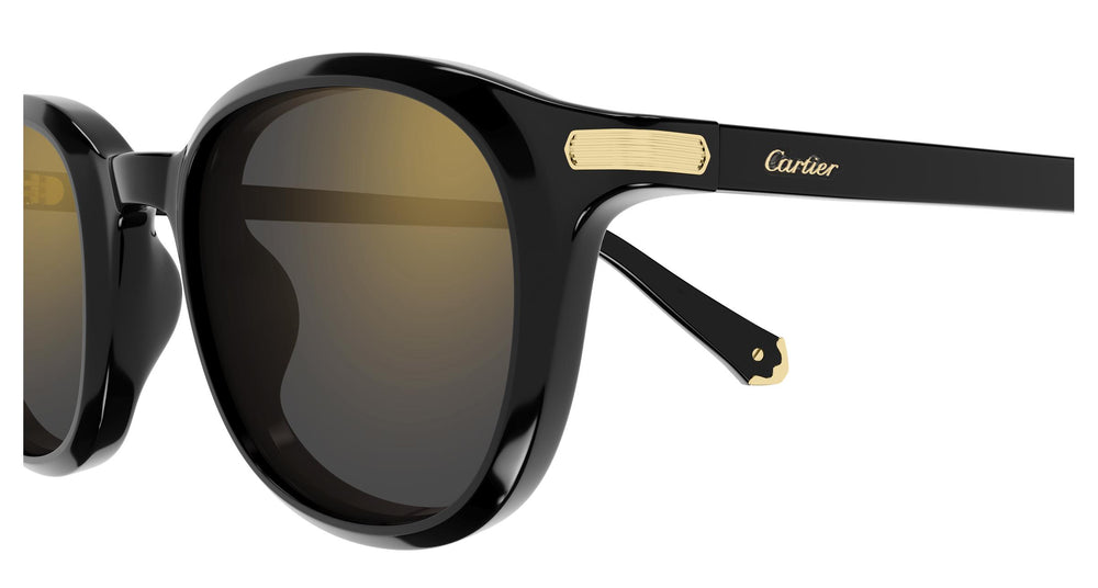 Cartier CT0584S 001 49