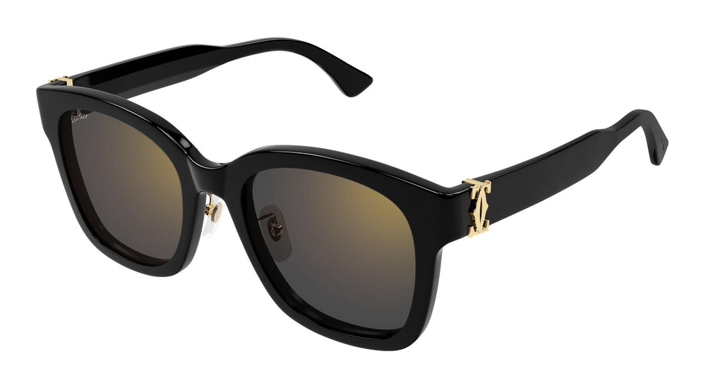 Cartier CT0589SA 001 54