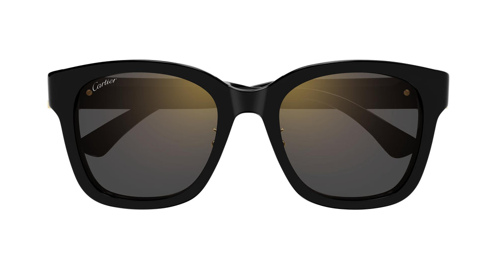 Cartier CT0589SA 001 54