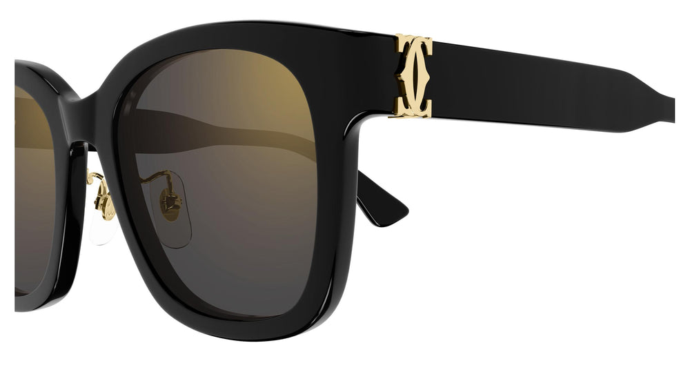 Cartier CT0589SA 001 54