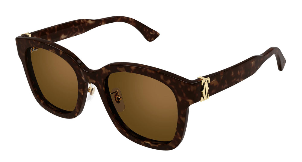 Cartier CT0589SA 002 54