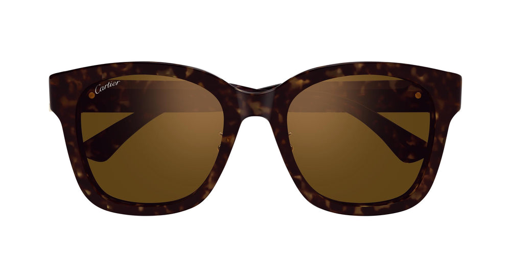 Cartier CT0589SA 002 54