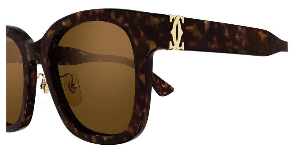 Cartier CT0589SA 002 54