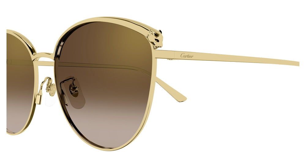 Cartier CT0597SA 002 61