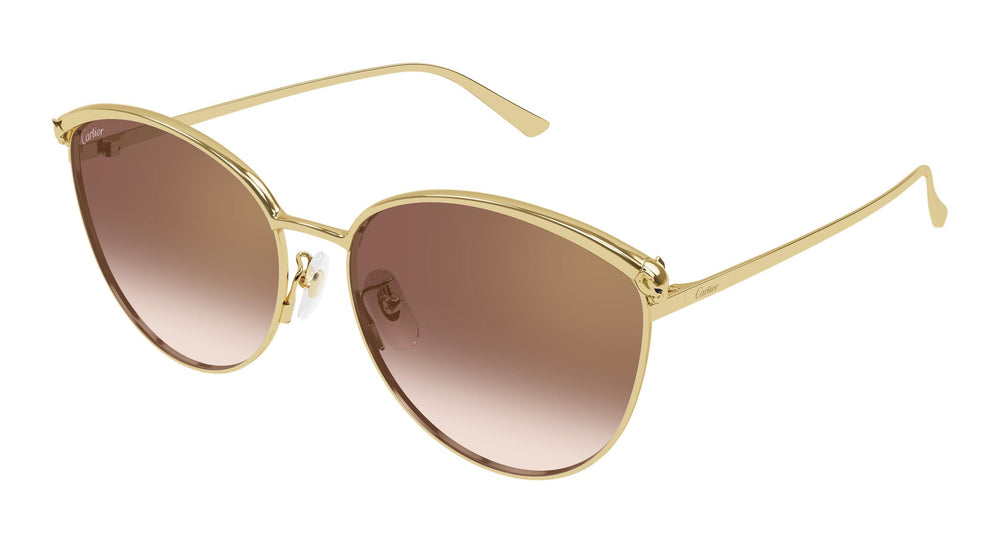 Cartier CT0597SA 003 61