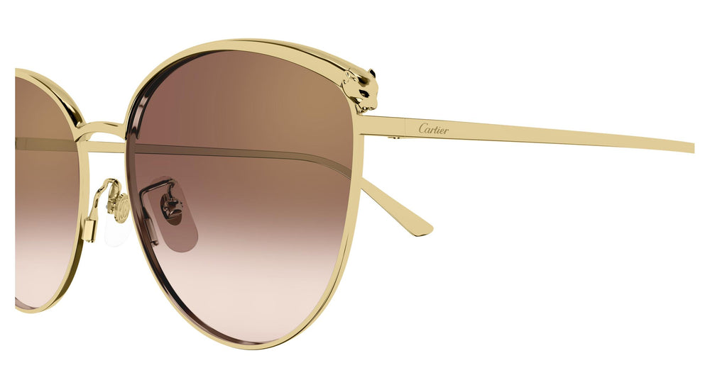 Cartier CT0597SA 003 61
