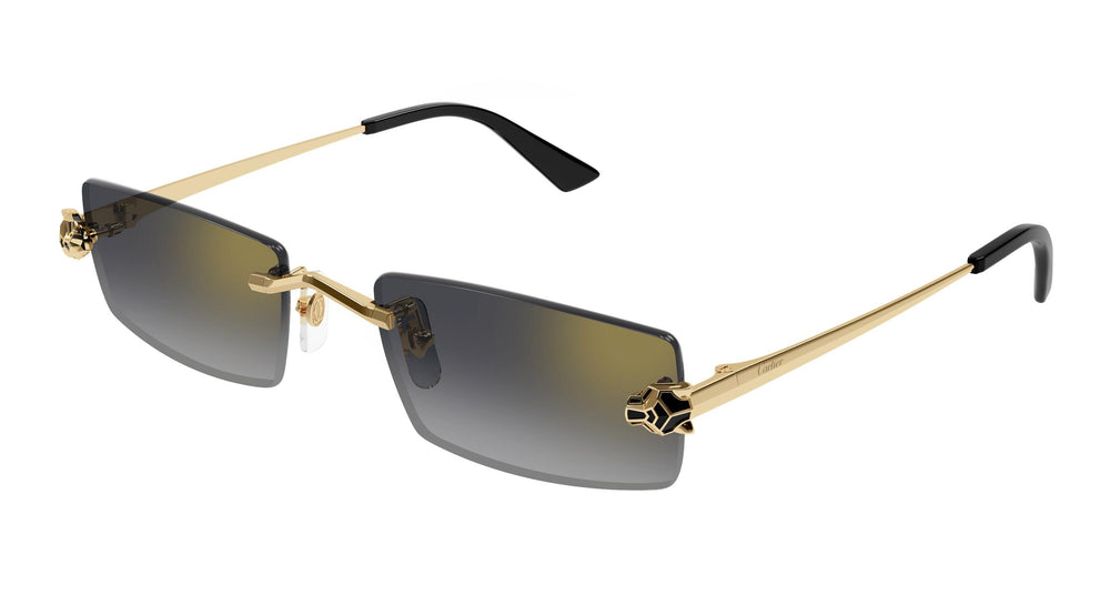 Cartier CT0598S 001 55