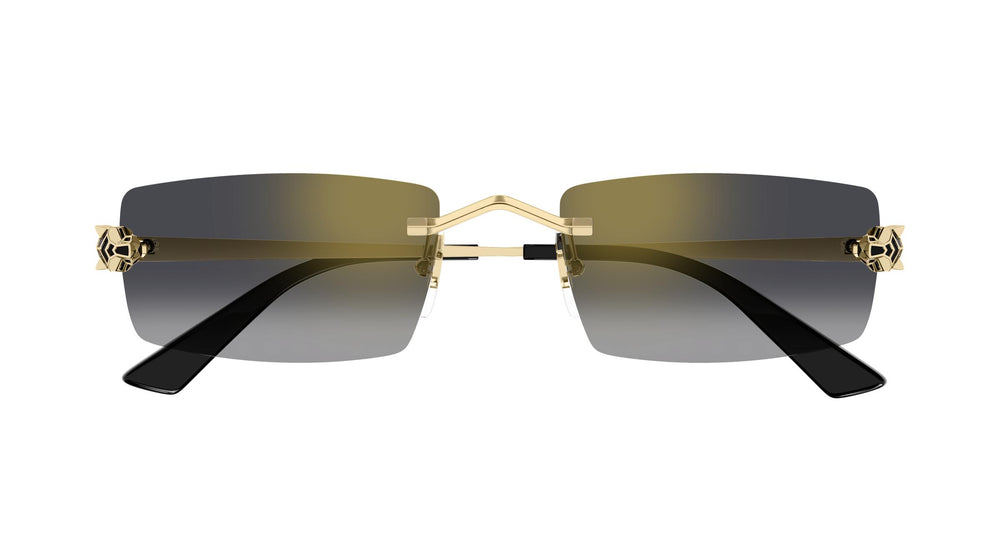 Cartier CT0598S 001 55