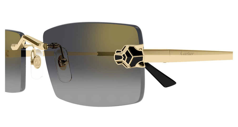 Cartier CT0598S 001 55