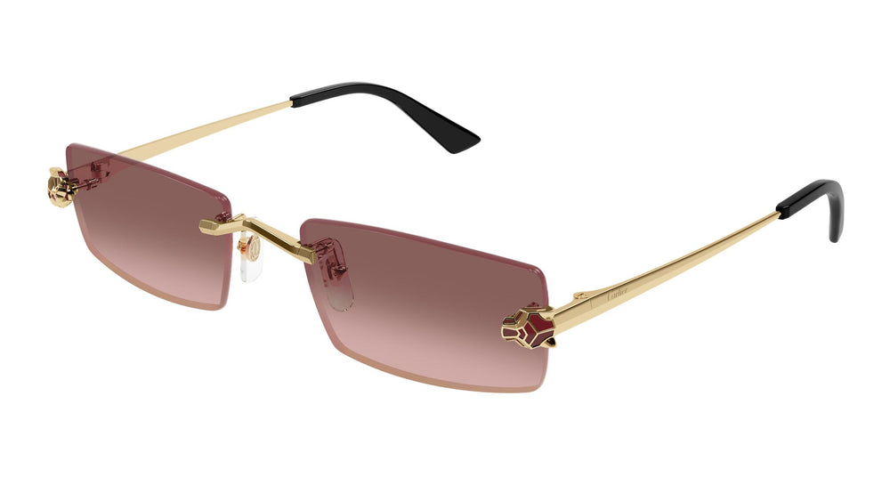Cartier CT0598S 004 55