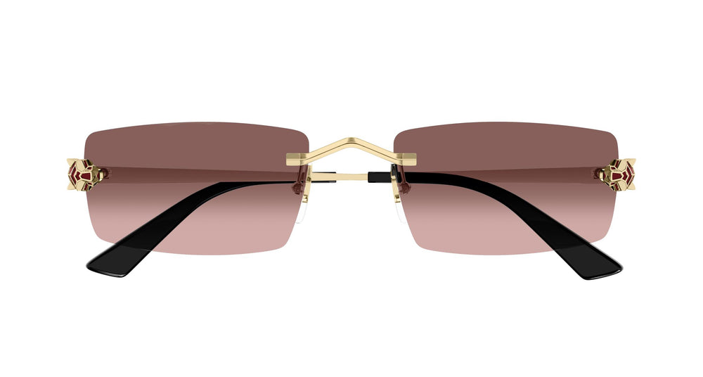 Cartier CT0598S 004 55