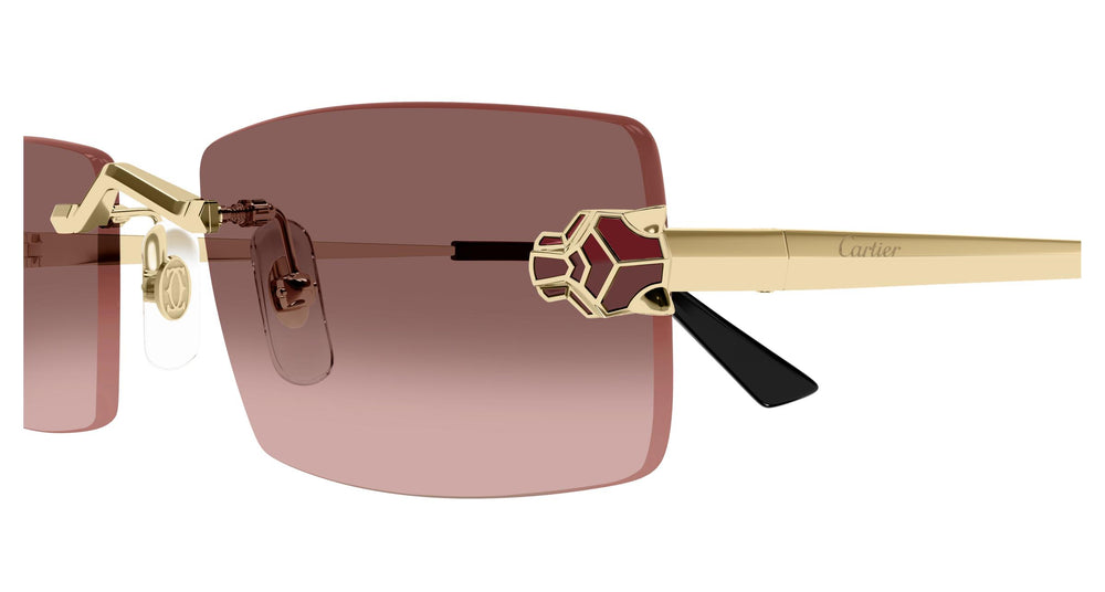 Cartier CT0598S 004 55