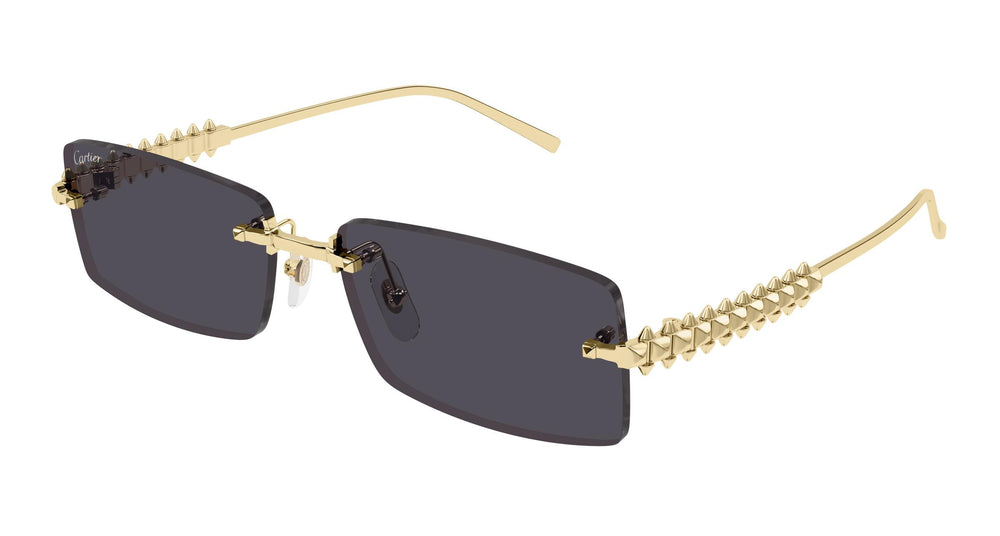 Cartier CT0604S 002 57