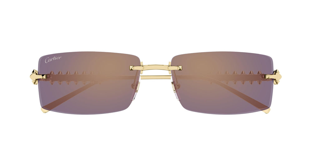 Cartier CT0604S 003 57