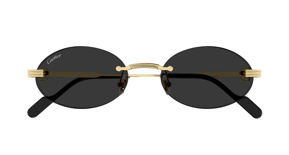Cartier CT0615S 001 53