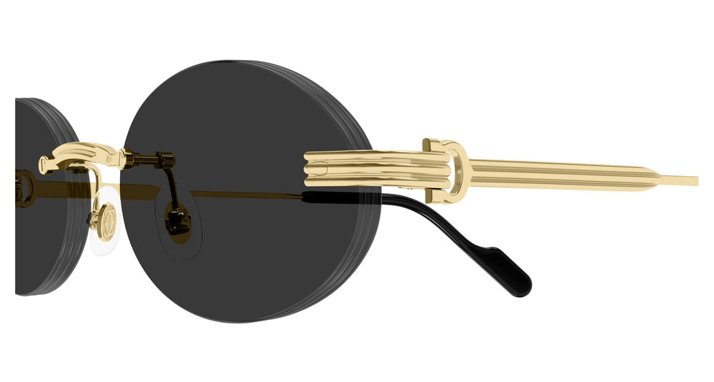 Cartier CT0615S 001 53