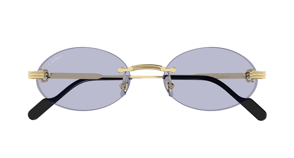 Cartier CT0615S 004 53