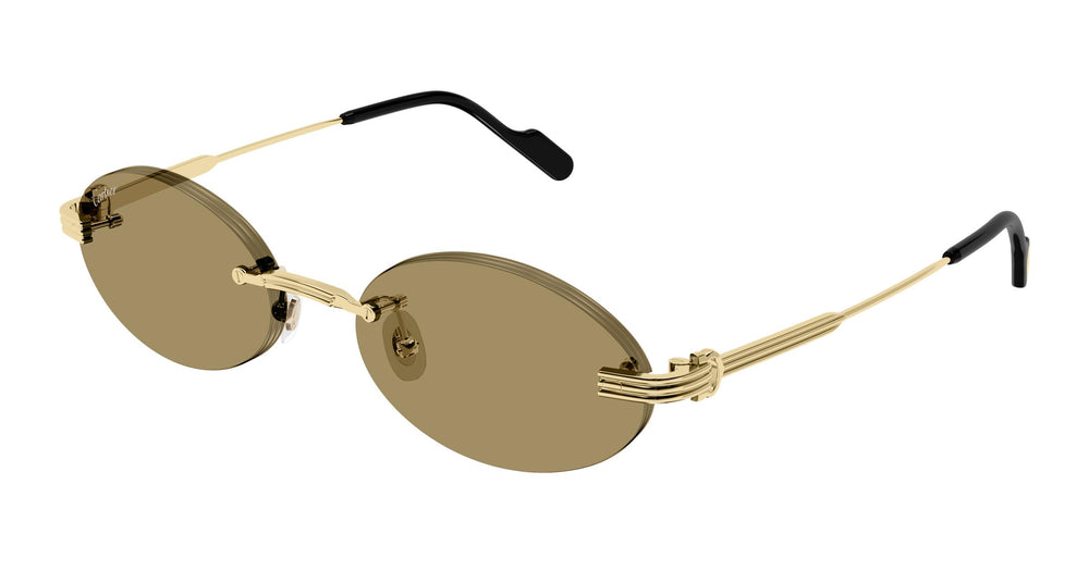 Cartier CT0615S 007 55