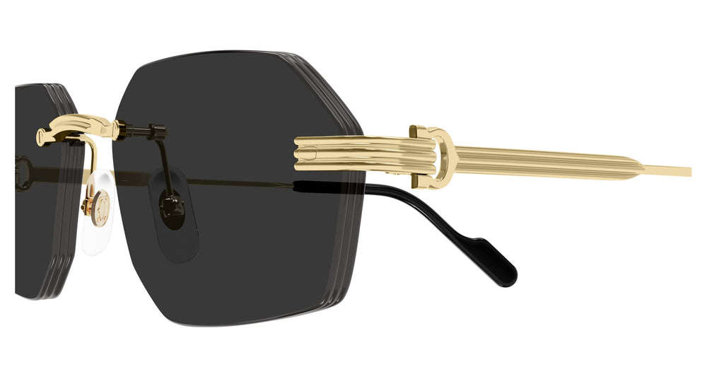 Cartier CT0616S 001 54