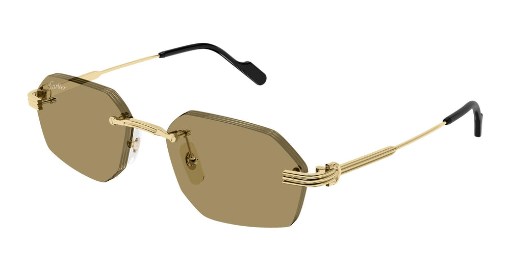 Cartier CT0616S 002 54