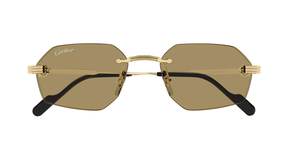 Cartier CT0616S 002 54