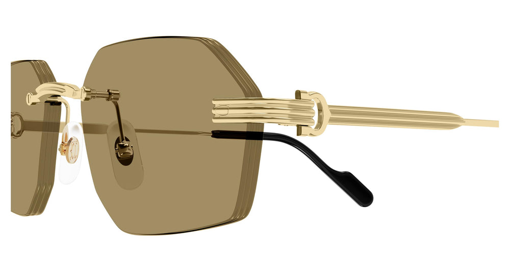 Cartier CT0616S 002 54