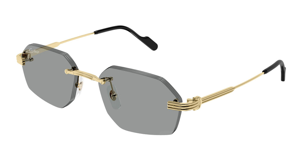 Cartier CT0616S 004 54
