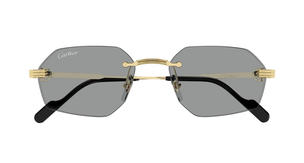 Cartier CT0616S 004 54